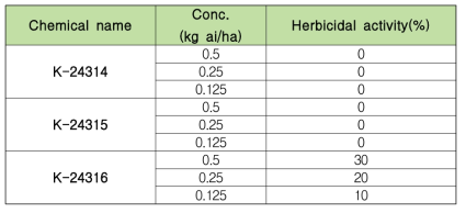 바랭이에 대한 신규 화합물 K-24316의 제초활성