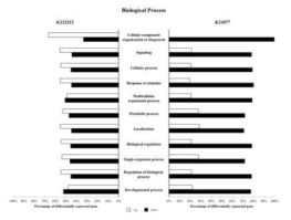 Biological process GO term 유전자의 K222212와 K21877 처리 시 DEG 분석