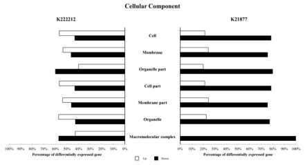 Cellular component GO term 유전자의 K222212와 K21877 처리 시 DEG 분석