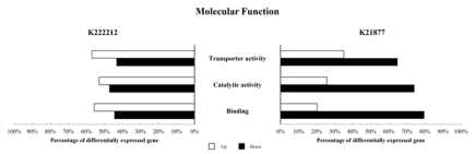 Molecular function GO term 유전자의 K222212와 K21877 처리 시 DEG 분석