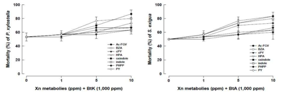 Xn 대사체 첨가에 따른 BT 살충률 변화