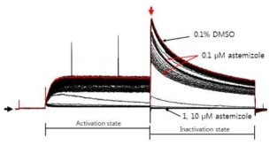 Astemizole 농도 증가에 따른 hERG tail current의 감소