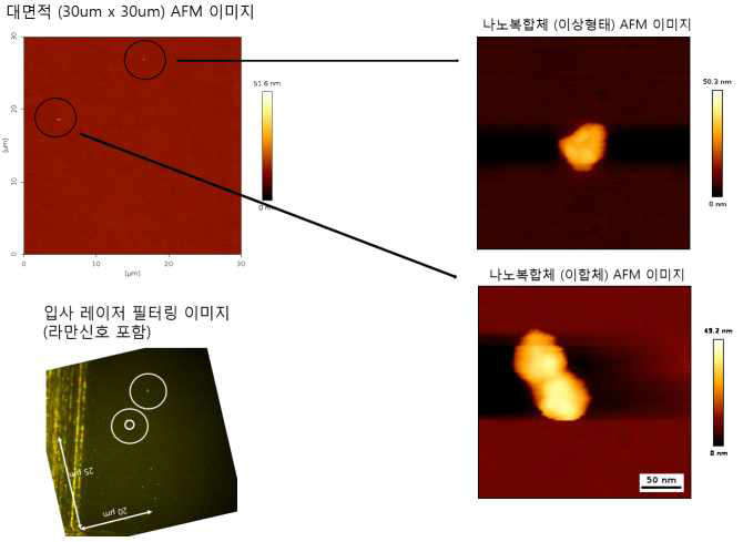 나노프로브가 분산 된 커버글라스의 원자탐침현미경 영상과 분광이미징 영상 결과. (흰색 원)