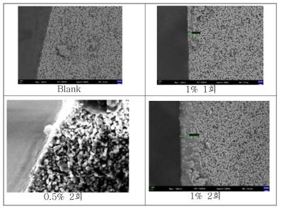 코팅 농도별 SEM