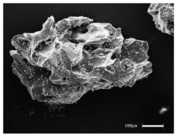 화산재 입자 형태(Scale: 100μm)