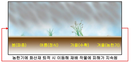 계절적 영향에 따른 농작물의 화산재 취약시기