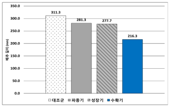 수확된 배추 길이 비교