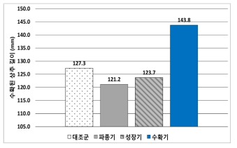 수확된 상추의 길이 비교