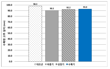 수확된 풋고추 길이 비교