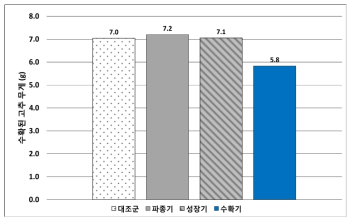 수확된 풋고추 무게 비교파종