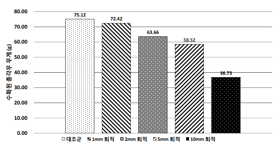 수확된 총각무의 무게 비교