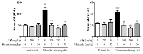 알코올성 간질환 동물모델에서 고삼 추출물의 Serum AST 및 ALT에 대한 효과