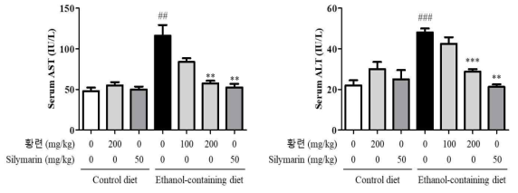 알코올성 간질환 동물모델에서 황련 추출물의 serum AST 및 ALT에 대한 효과