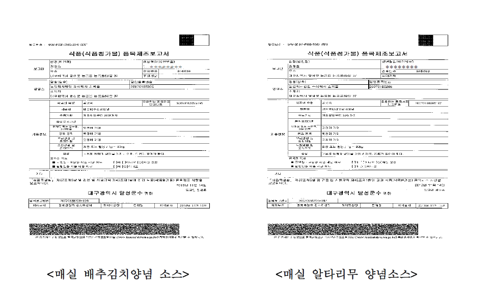 한방소재 매실 발효액 김치 양념소스 품목제조보고서