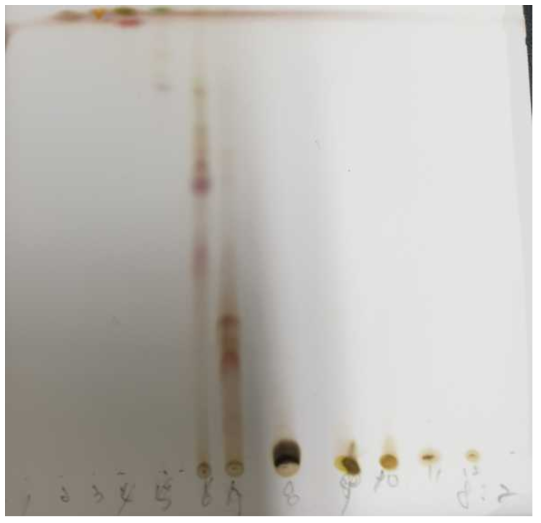 TLC of 12 fractions isolated from broccoli leaves