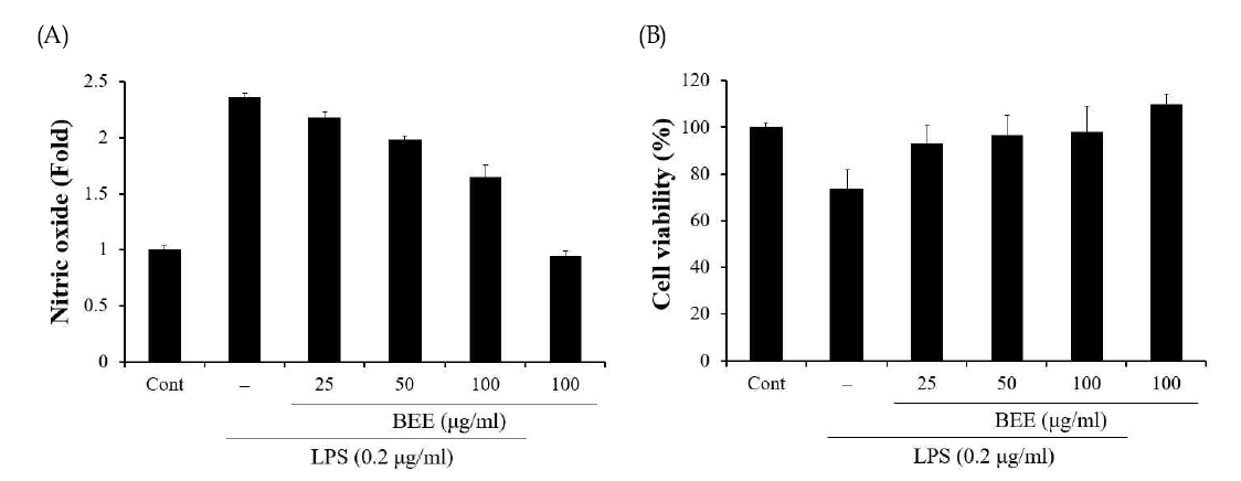Effects of broccoli ethanol extract (BEE) on the production of NO (A) and cell viability (B) in LPS stimulated Raw264.7 cells. The cells were treated with BEE for 2h prior to the addition of LPS (0.2 μg/ml), and then further incubated for 24h. The cultured medium was collected and directly assayed for NO, and cell viability was analyzed with MTT solution