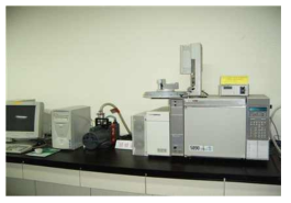 정량분석에 쓰인 GC chromatography 모습
