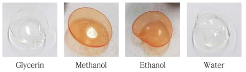 각 함침액에 담궜던 콘택트렌즈