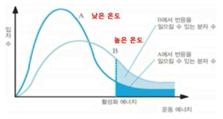 Energy change according to the number of molecules