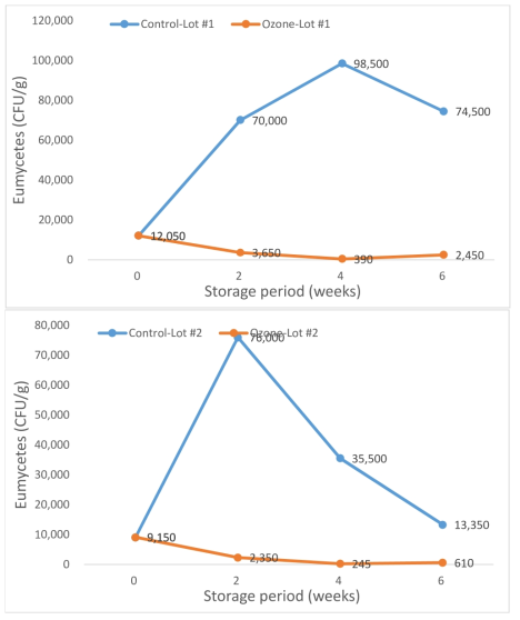 Eumycetes reduction effect of red kiwi from Jeju in 2018 by microplasma ozone treatment