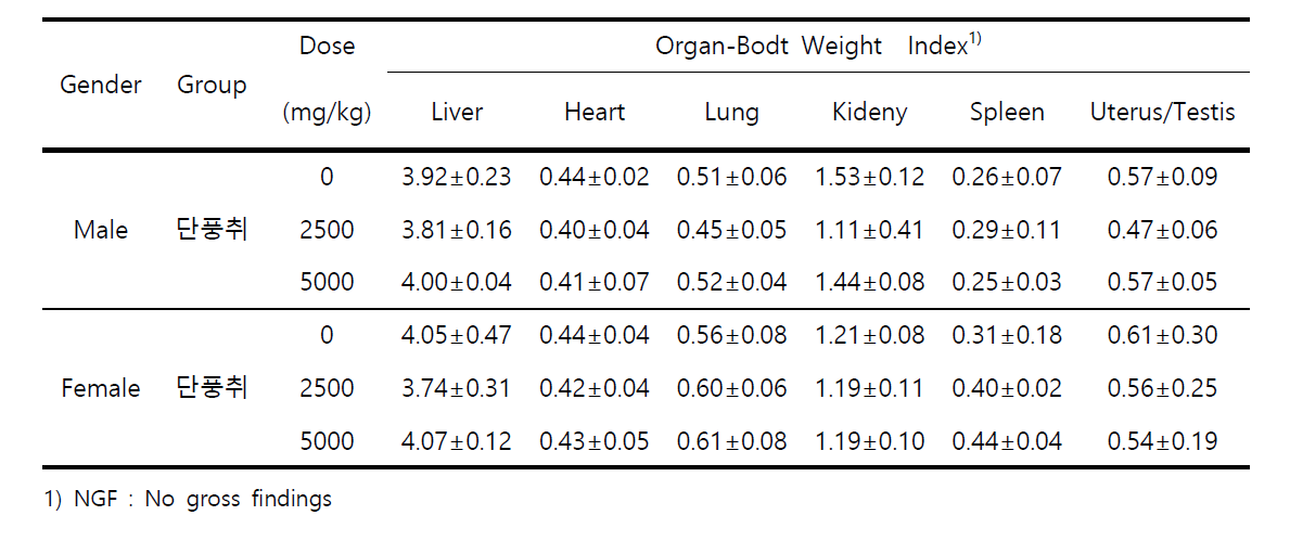 Organ-Body Weight Index of Mice Treated with 단풍취