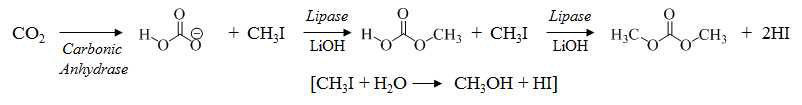 Lipase-catalyzed dimethyl carbonate synthesis from bicarbonate and methyl iodide