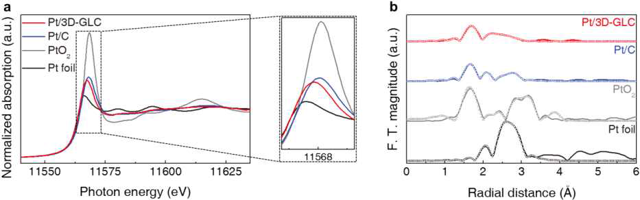 합성된 Pt/3D-GLC촉매의 EXAFS, XANES 분석 결과