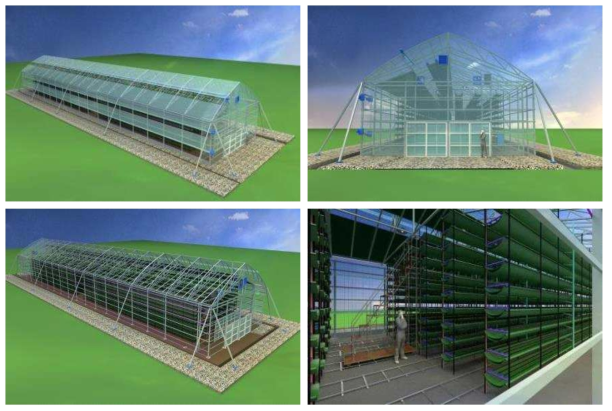 Greenhouse model of the farm in rice field
