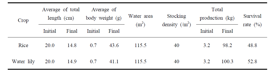 Growth performance of M. rosenbergii by crop in eco-friendly aquaculture