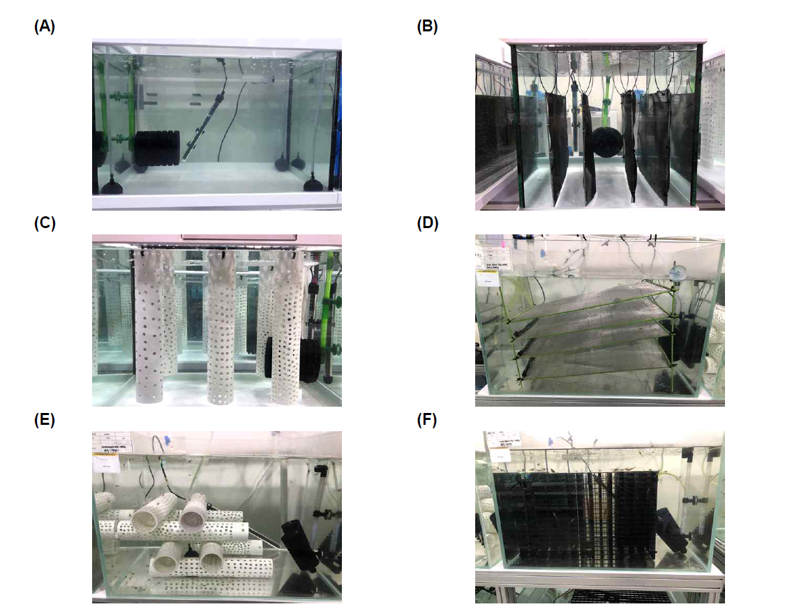 The experimental tank for Survival rate of M. rosenbergii by artificial shelter (A: Control (larvae), B: Horizontality net (larvae), C: PVC (larvae), D: Verticality net (larvae, postlarvae), E: PVC (postlarvae), F: Jungle gym (larvae, postlarvae))