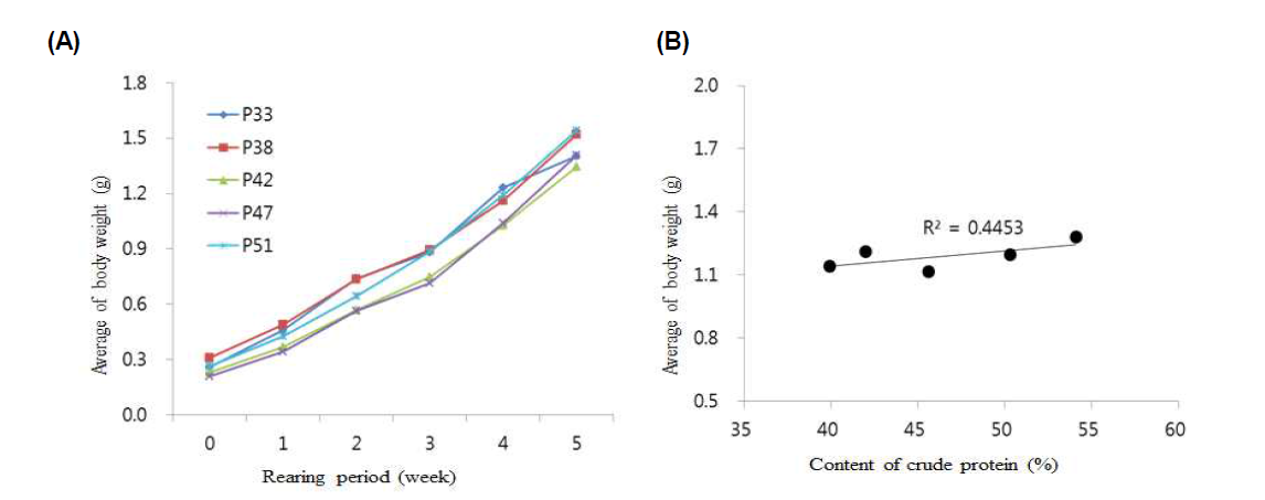 Growth performance of M. rosenbergii group by contents of crude protein from 2017. (A: Change of body weight, B: Correlation between content of crude protein and growth body weight)