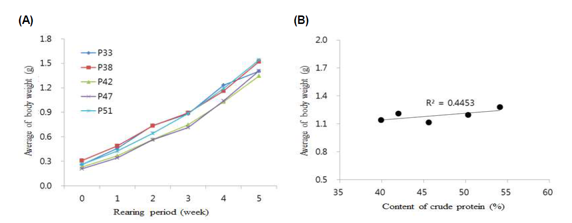 Growth performance of M. rosenbergii individual by contents of crude protein from 2017. (A: Change of body weight, B: Correlation between content of crude protein and growth body weight)