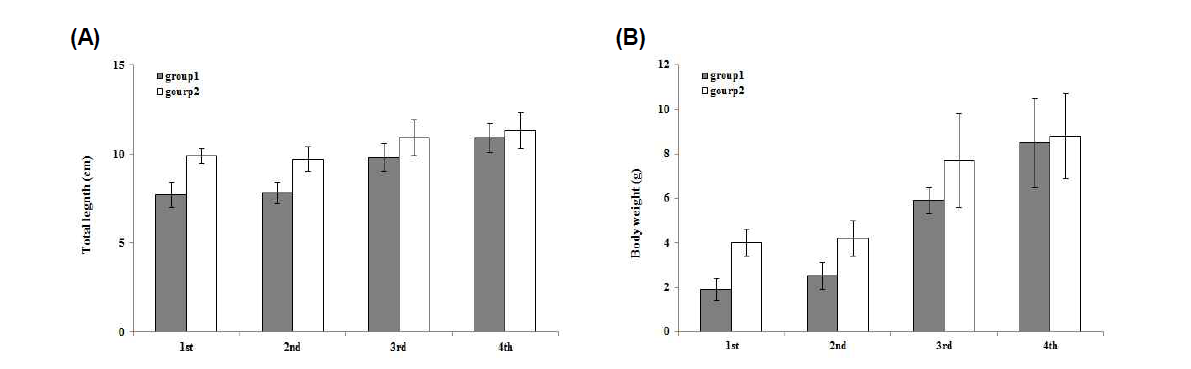 Growth performance of M. anguillicaudatus by intial individual size in eco-friendly farm (A: Total length, B: Body weight). 1st: 2018.6.18., 2nd: 7.17., 3rd: 8.23., 4th: 9.2