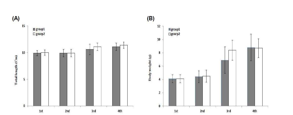 Growth performance of M. anguillicaudatus by density of intial individual in eco-friendly farm (A: Total length, B: Body weight). 1st: 2018.6.18., 2nd: 7.17., 3rd: 8.23., 4th: 9.2