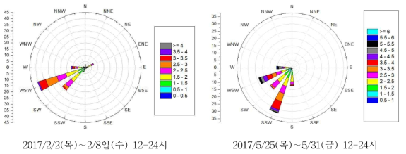 2017년 2월과 5월 목4동 측정기간 풍배도 (양천구 AWS)