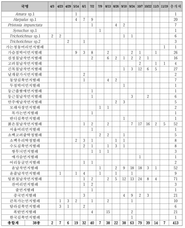 남천계곡 지표성 딱정벌레류 출현 현황