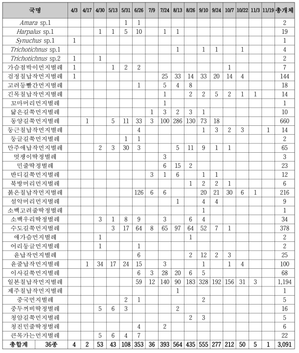 금선계곡 지표성 딱정벌레류 출현 현황