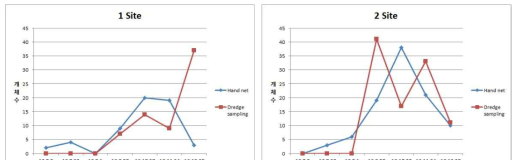 Site별 정성 및 정량조사에 따른 깔따구류 개체수 그래프