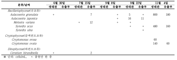 식물성 플랑크톤(규조류, 갈색편모조류, 와편모조류) 출현 현황