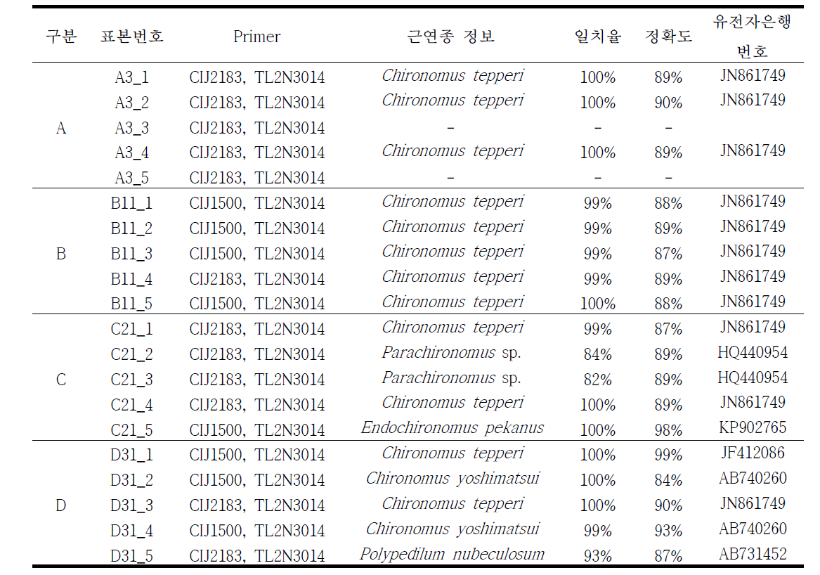 BLAST(NCBI) 근연종 확인을 통한 미동정 깔따구류 종 동정