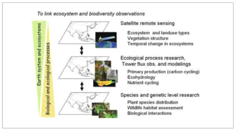 Enhance the Link Between Remote Sensing and IN-SITU Observation Network for Biodiversity Monitoring (Suzuki et al., 2010)