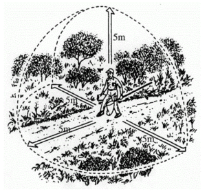 Transect recording