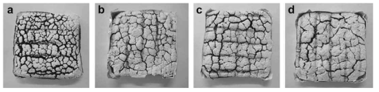 MDH 함유 실리콘의 Cone calorimeter 시험 후 형상: (a) 순수 PDMS, (b) PDMS:kaolin:MDH (73:16:11), (c) PDMS:kaolin:MDH:zinc borate (73:16:10:1), (d) PDMS:kaolin:MDH:zinc borate (73:16:6:5)