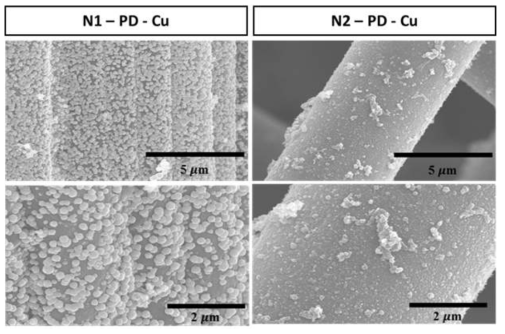 SEM ( N1,N2 위 polydopamine + Cu coating )