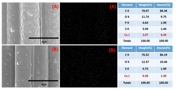 EDX and Mapping image (A : N1-PD-Cu, B : N1-PD@Cu)