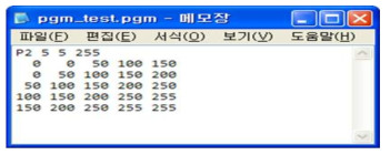 Portable GrayMap 파일 데이터 구조