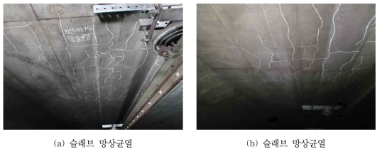 망상균열(벽체 및 슬래브)