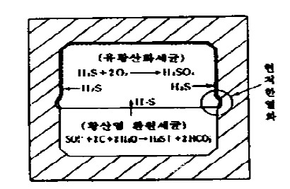 산·염류에 의한 상수도관 열화