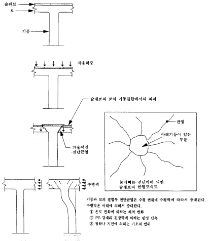 기둥과 보의 결합부 전단균열