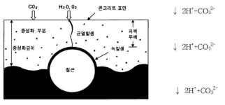 콘크리트 중성화에 따른 철근의 부식